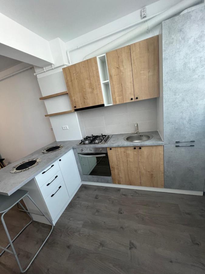 Sunny Apartments Suceava 64 Экстерьер фото
