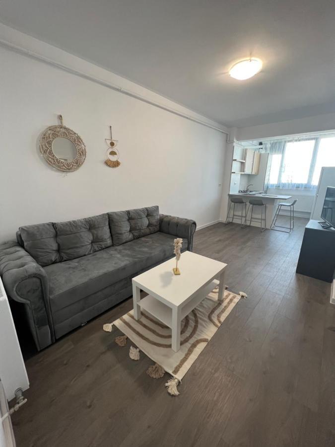 Sunny Apartments Suceava 64 Экстерьер фото