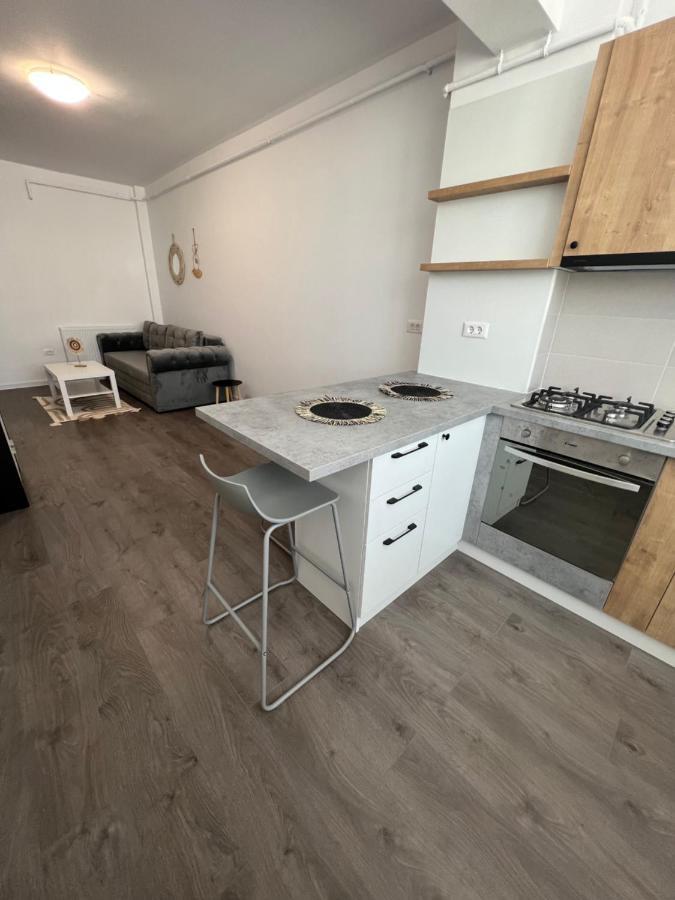 Sunny Apartments Suceava 64 Экстерьер фото